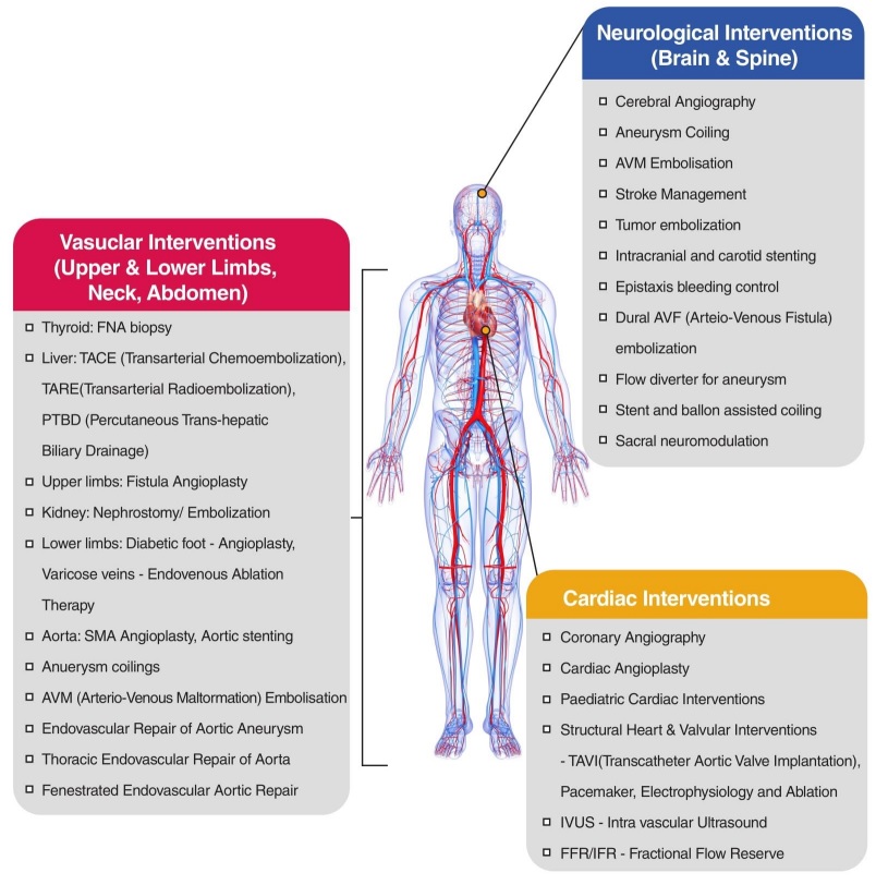A diagnostic and therapeutic speciality Image