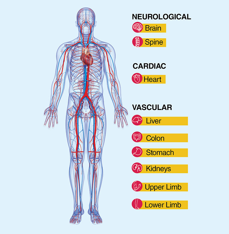 A diagnostic and therapeutic speciality Image