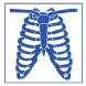 X-Ray Home Services